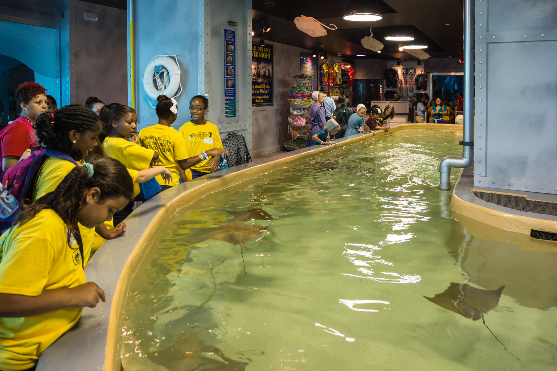 Interact with Stingray at the Stingray Reef 