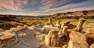 Txjl4cp7b7ebqf7tfjarthp8ye4t 1591186423 untitled design26