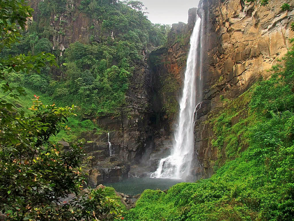 Bambarakanda Falls, Ohiya, <em>Sri Lanka</em>