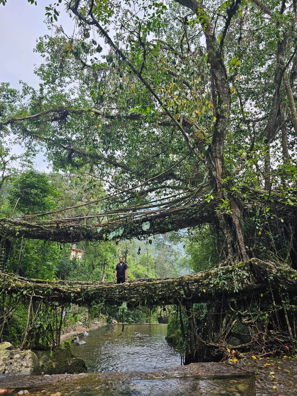 Photo from Soni Kumari's trip