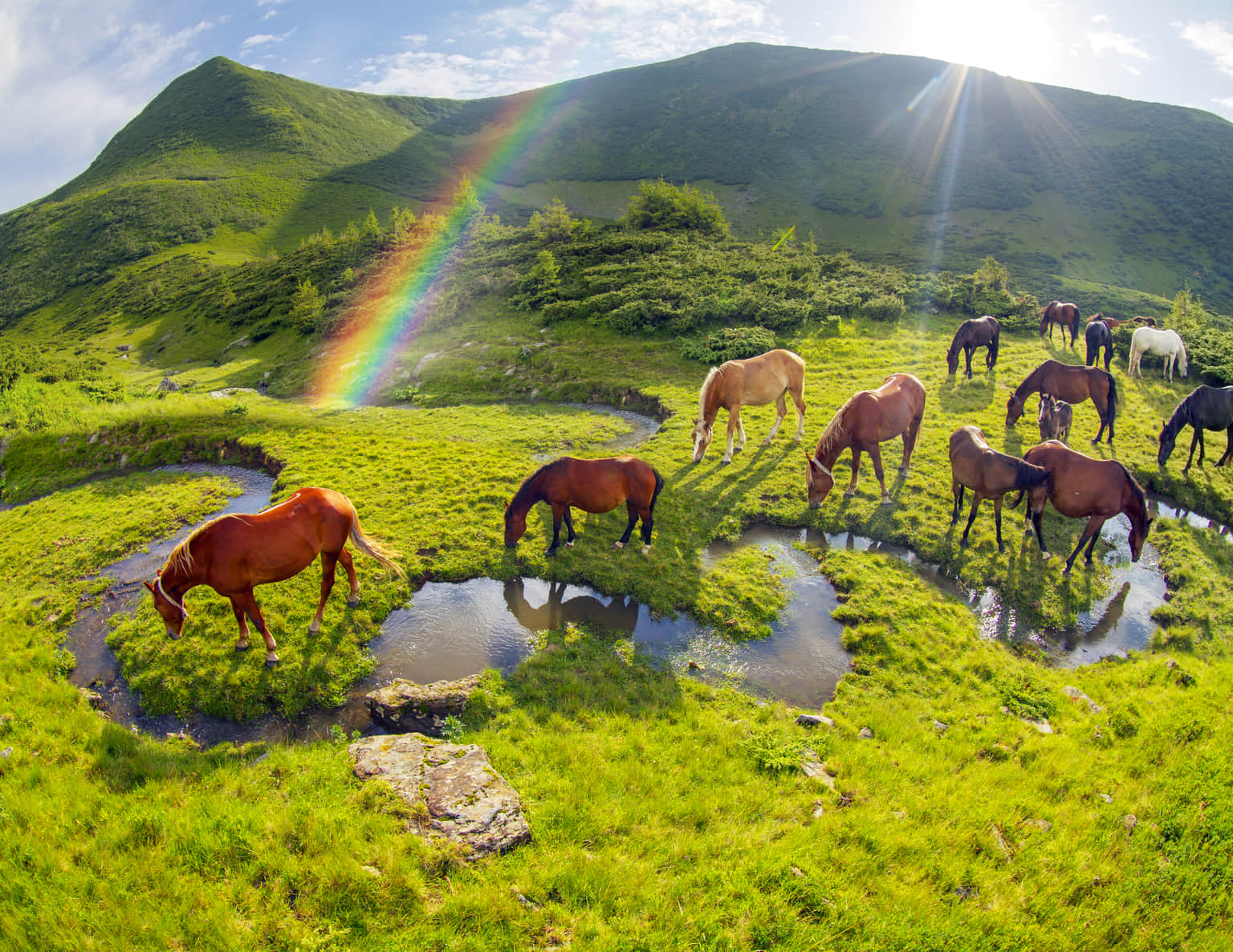 <em>Jammu and Kashmir</em> Tour Packages From Gurgaon 