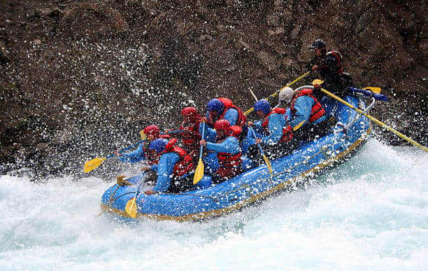 Immerse in fun activities