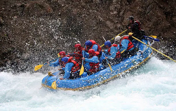 Immerse in fun activities