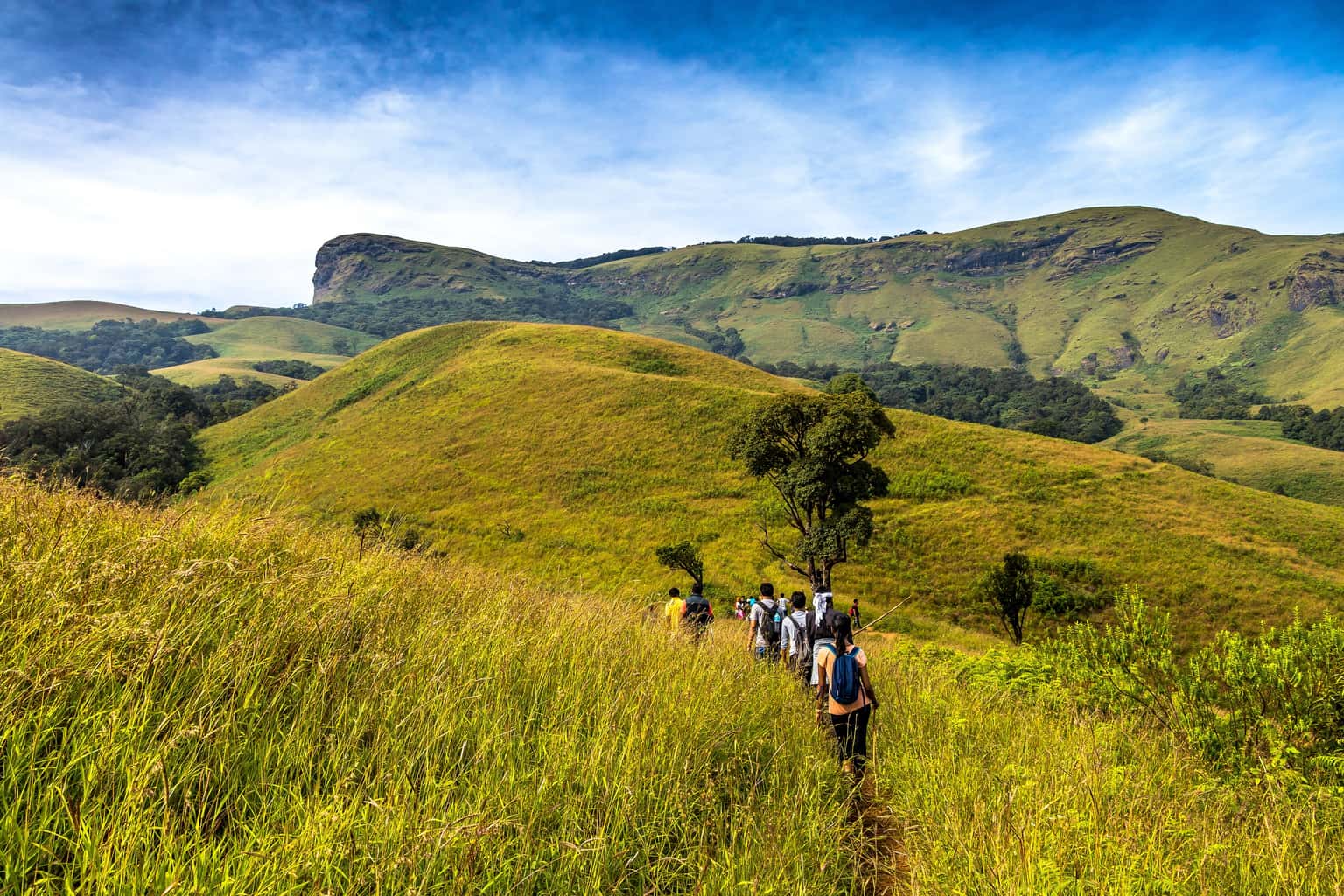 Gangadikal Trek, Chikmagalur