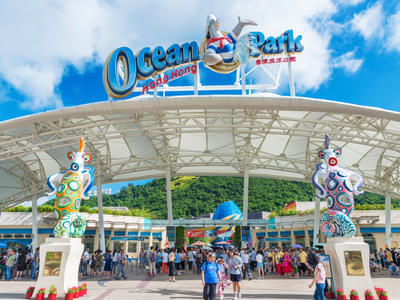  Ocean Park Sea Lion Show Hong Kong