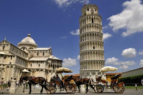 Activity & SightSeeing Image