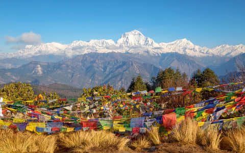 Snow Treks in Ghorepani