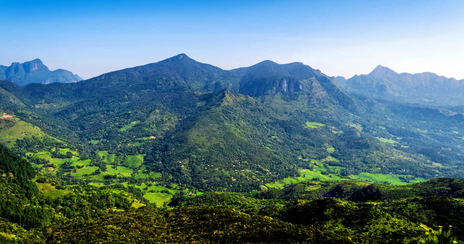 Knuckles Mountain Range Camping