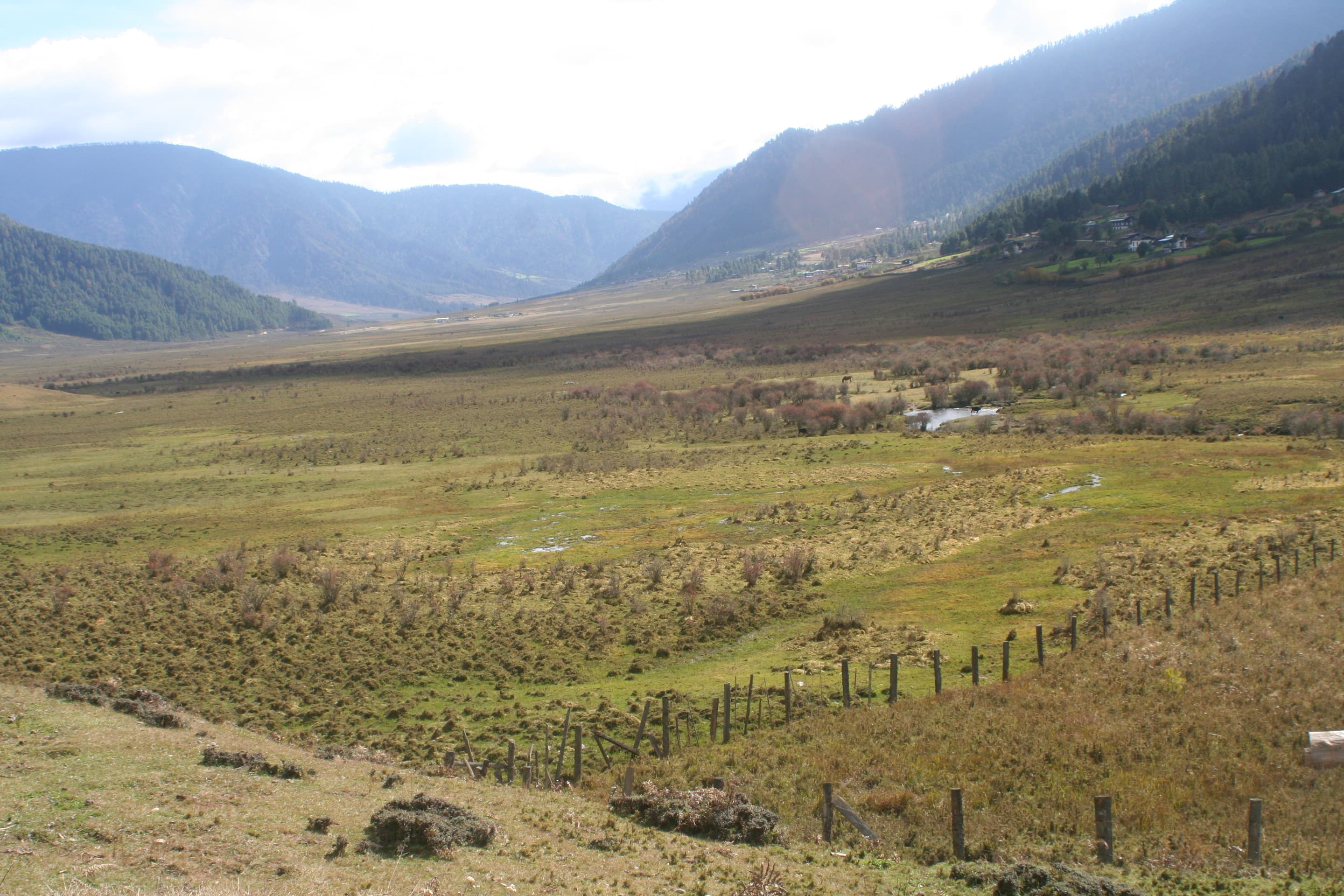 Black-necked Crane Visitor Centre, Bhutan Overview