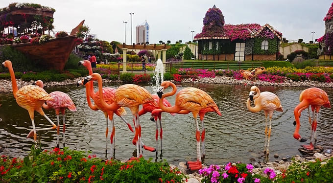 Lake park in Dubai miracle garden