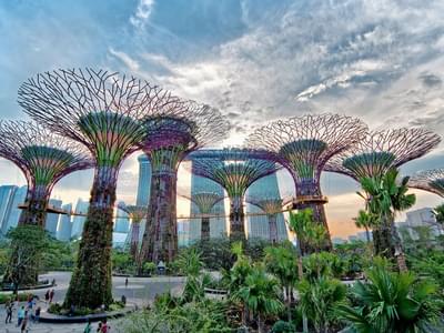 [Recommended Combo] Flower Dome + Cloud Forest Featuring Avatar: The Experience + Floral Fantasy