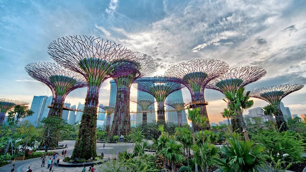 Indulge in the misty ambiance of Gardens By The Bay