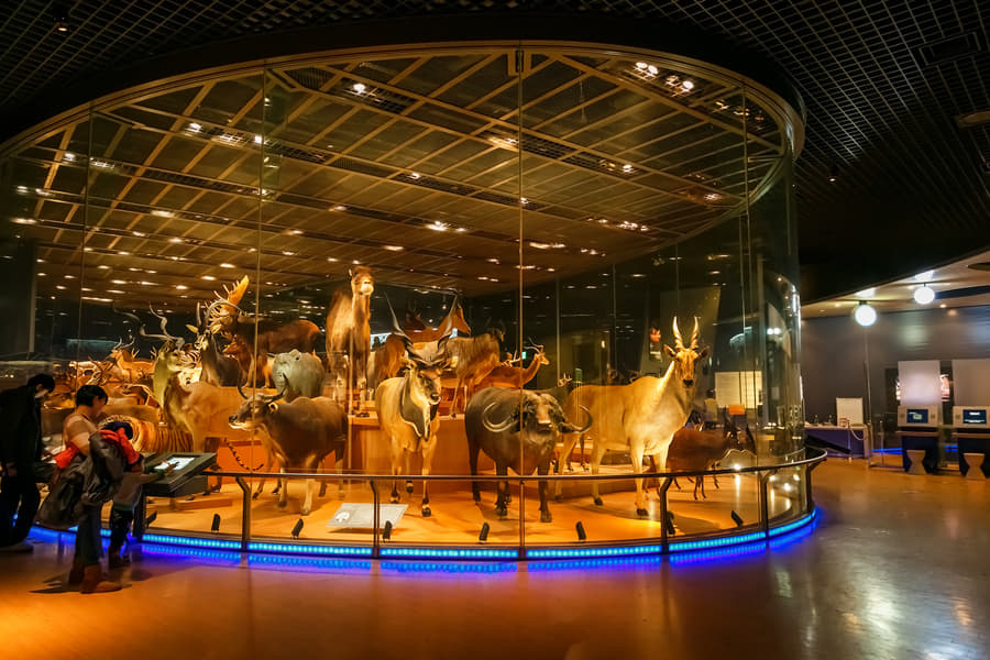 Tokyo National Museum Image