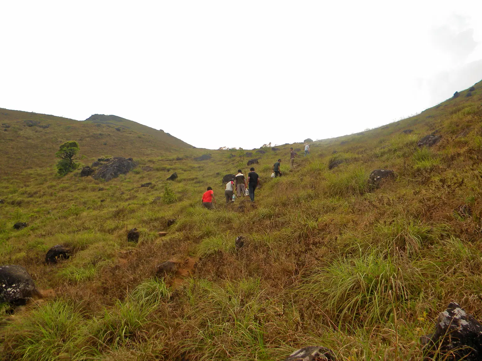 Photo from Anasuya Patil's trip
