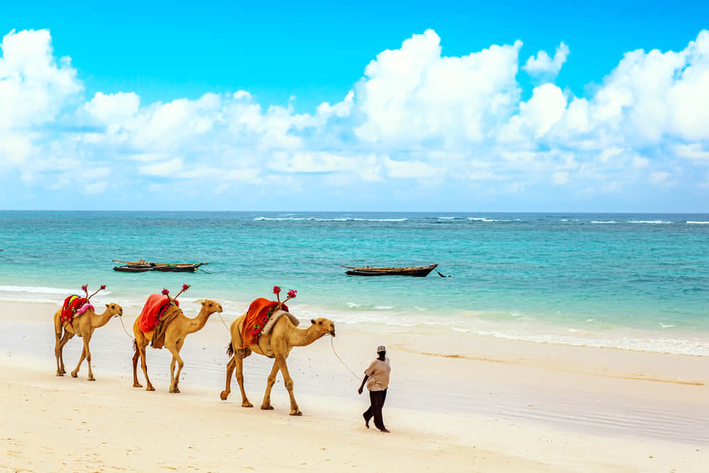 Diani Beach