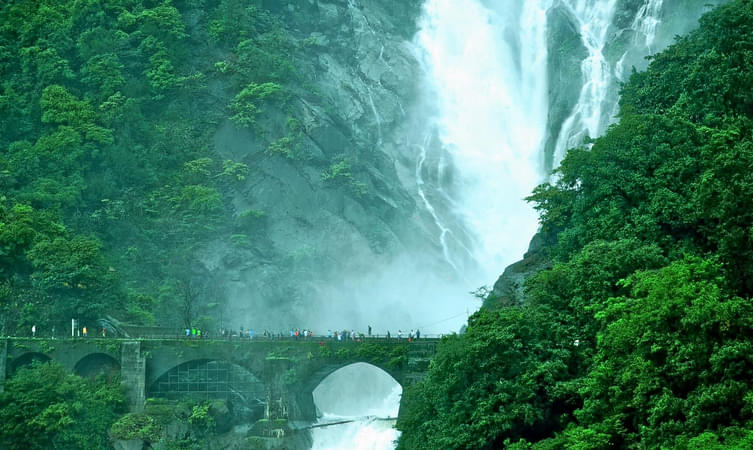 Get picturesque views of Dudhsagar Waterfall