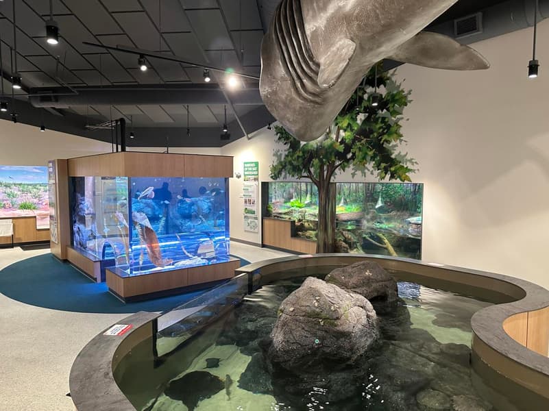 Newport Aquarium Tickets Image