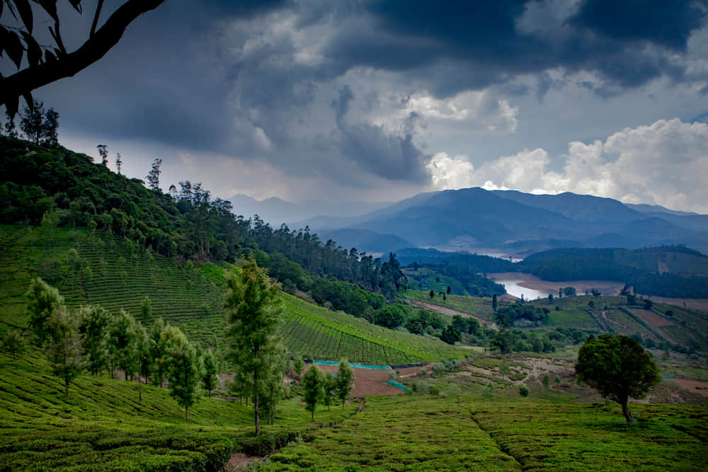 Monsoon