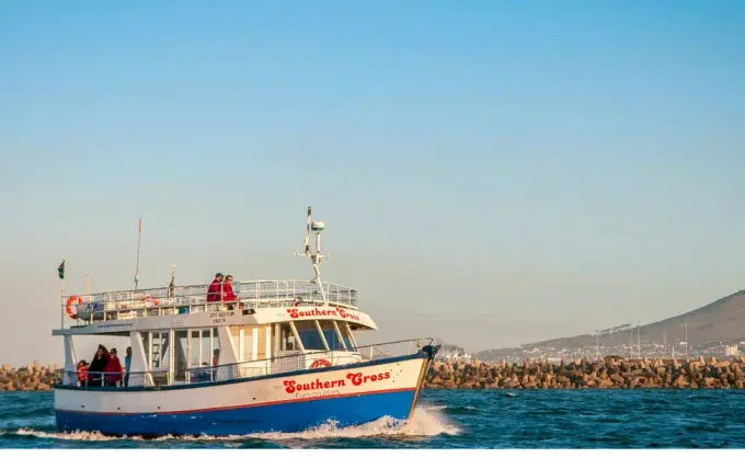 30-Minute Harbor Boat Cruise with Seal Watching