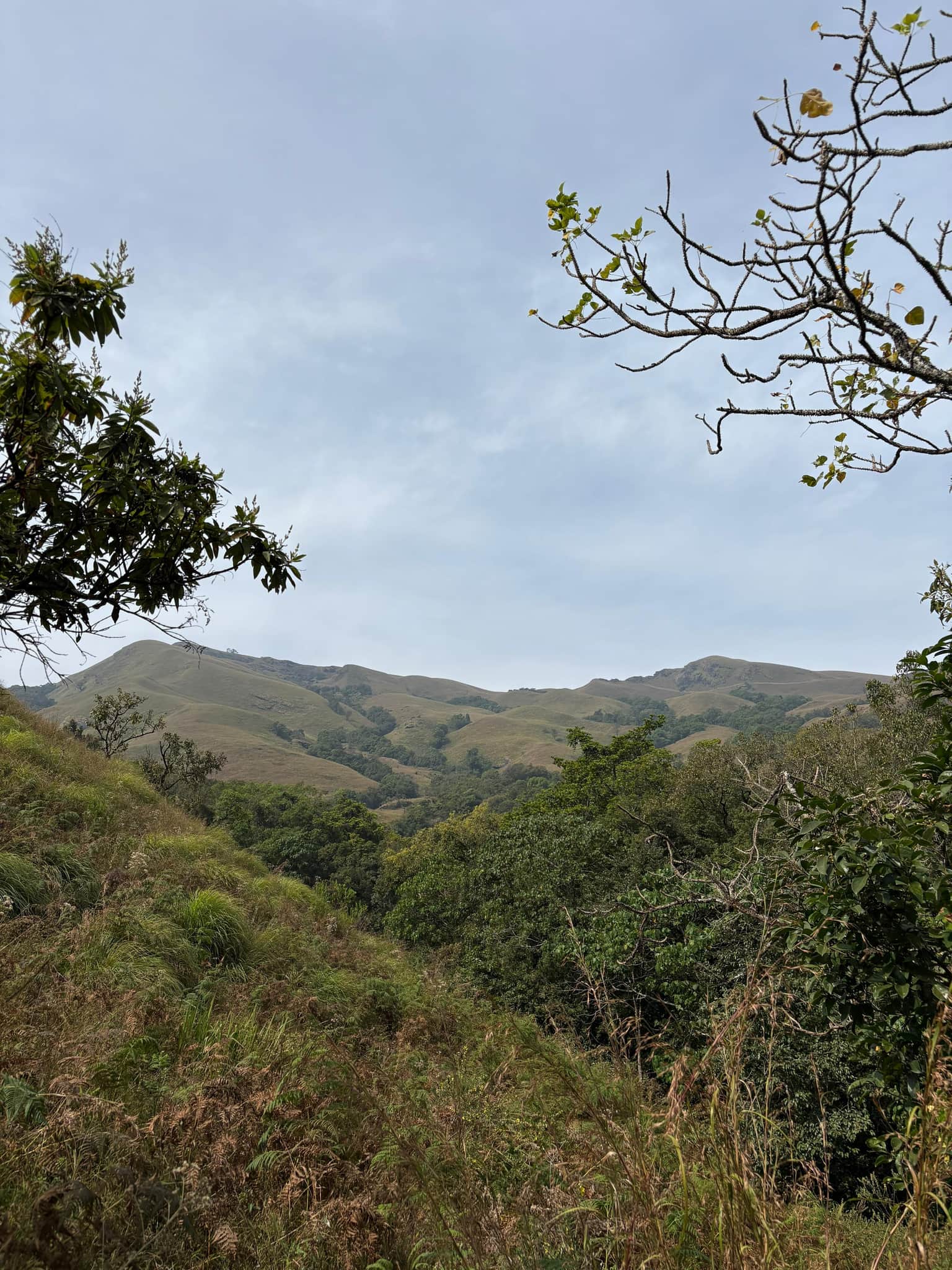 Photo from Likhith KR's trip