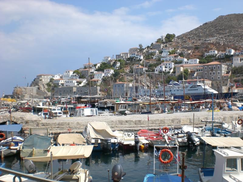 Hydra