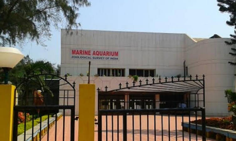 Marine Aquarium & Regional Centre