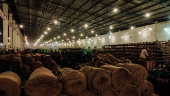 U3beanaea3p74kgxww9cf5mu7pbb 51067028021 169da44c41 o