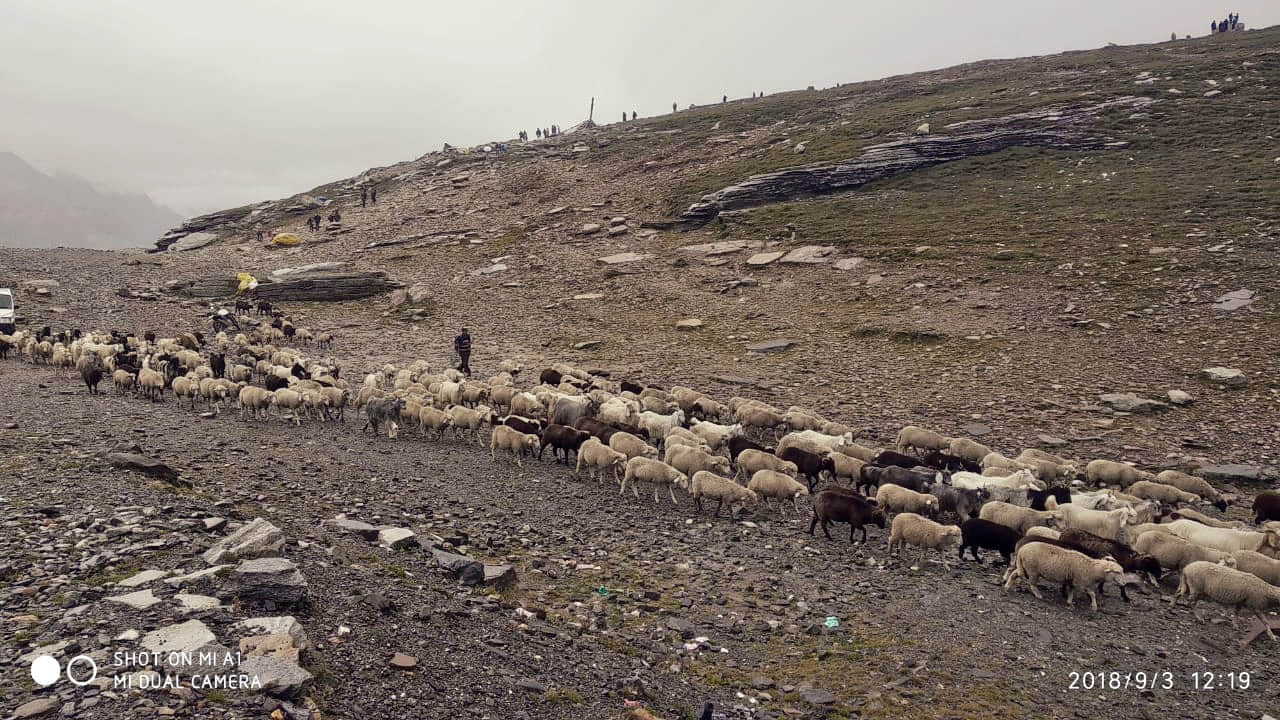 Photo from Akshay Agarwal's trip