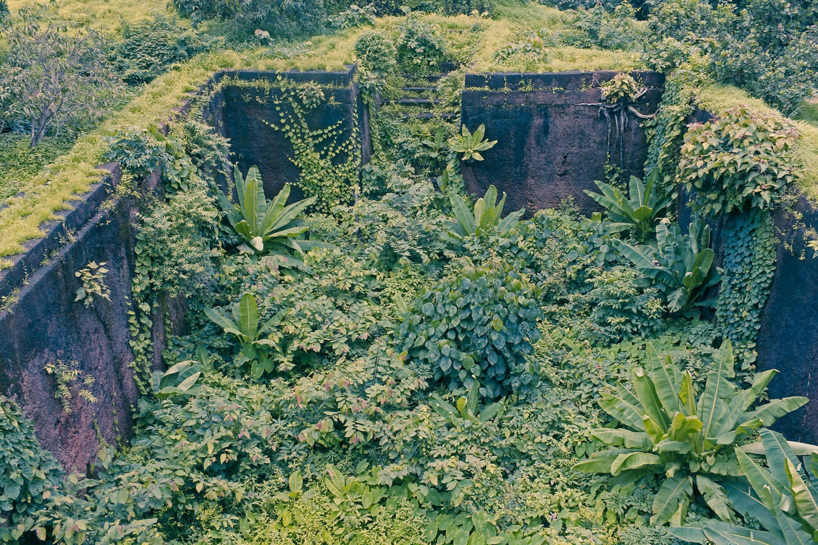 Relax Amidst the Mango Orchards