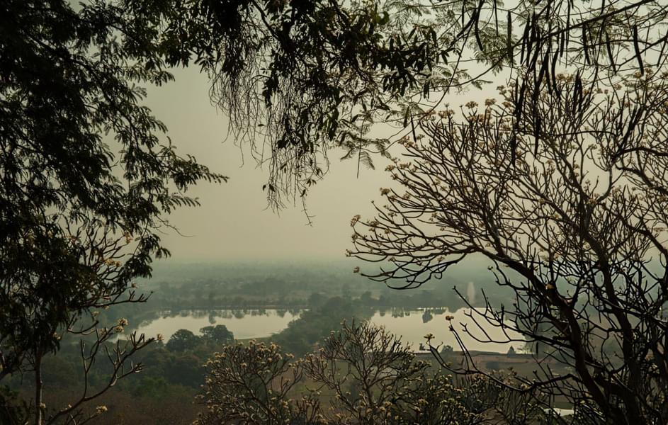 Jeep Ride in Thekkady With Visit to Grape Vineyard Image