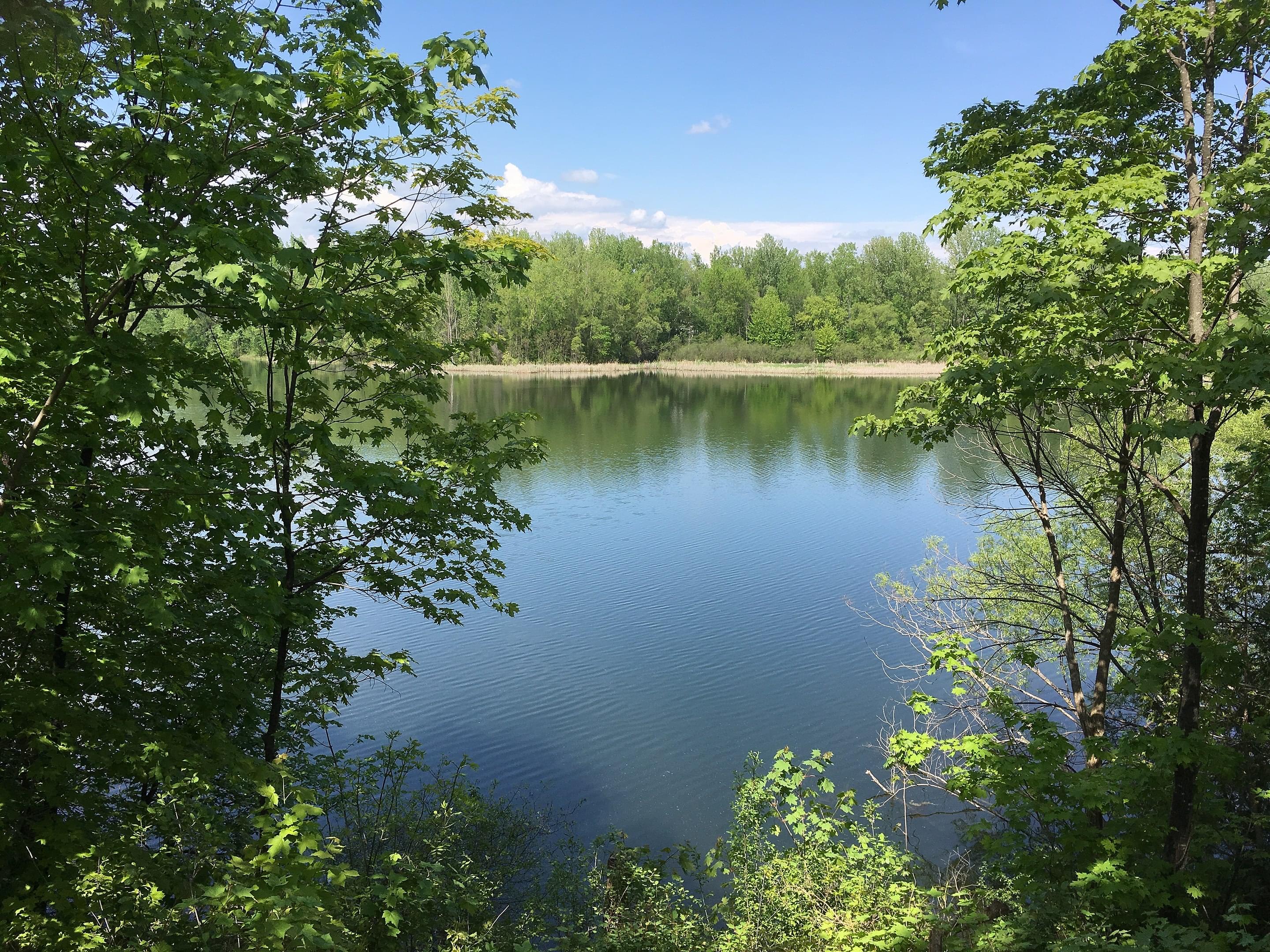 Rockcliffe Lookout Overview