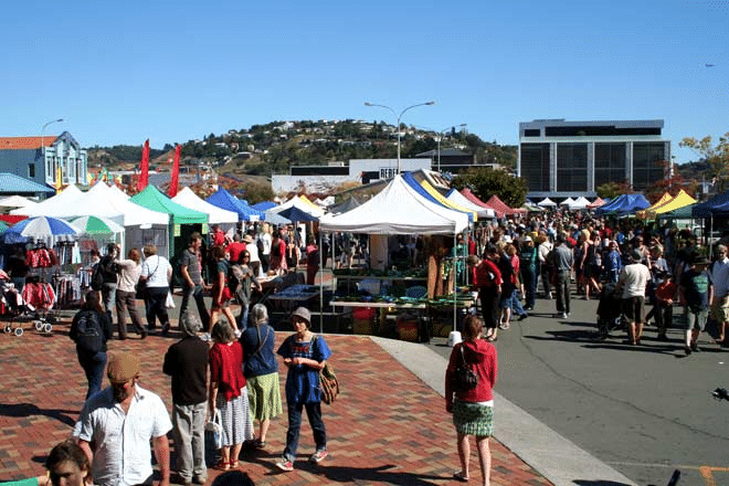 Nelson Saturday Market Overview