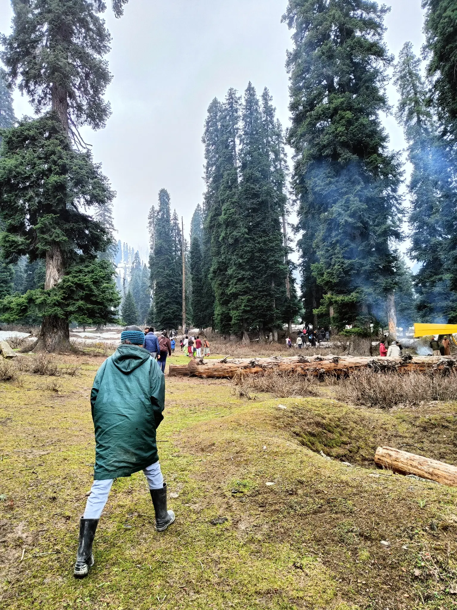 Photo from VIPIN T .'s trip