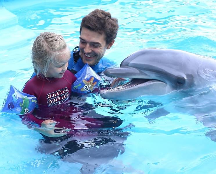 Kids will love the dolphins