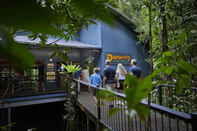 Things To Do In Daintree National Park