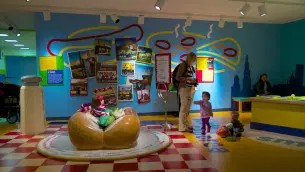 U6011p00pwxb1a7h5vwr3ciyhbvr 24580 chicago history museum