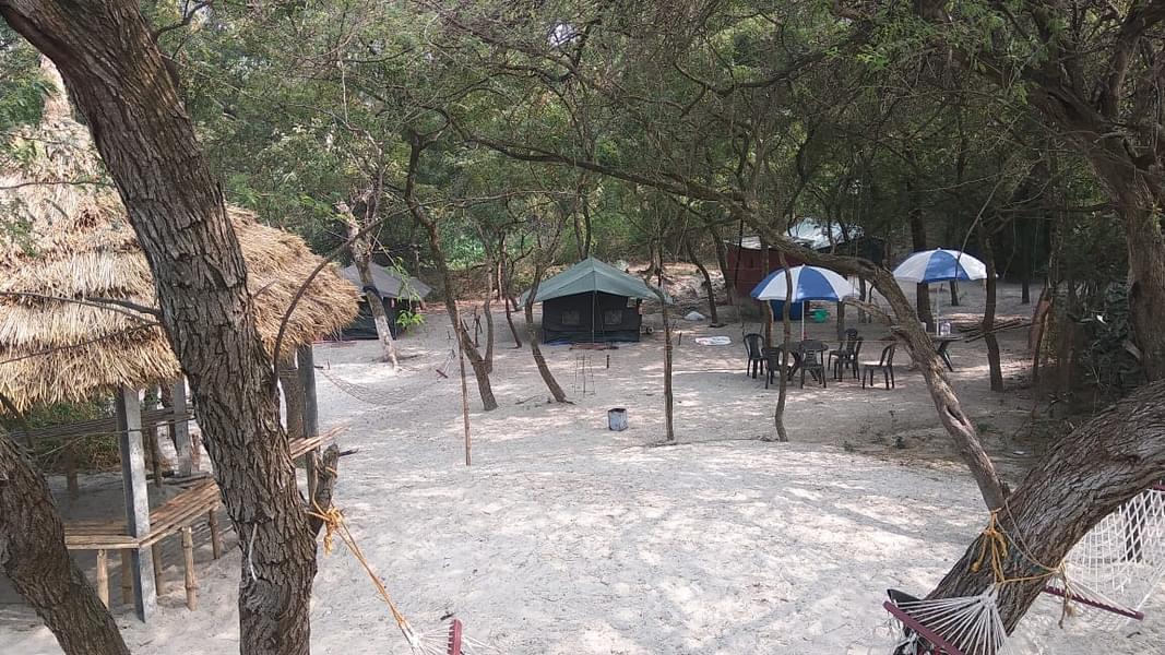 Mousuni Island Camping Image