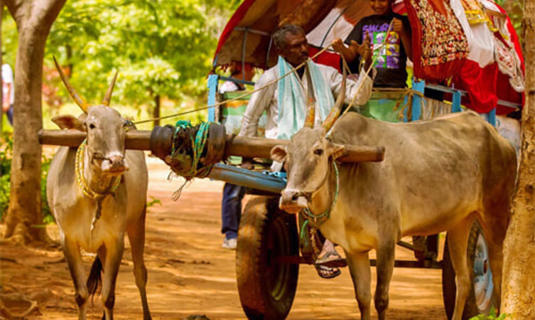 Jain Farms Village Theme Resort