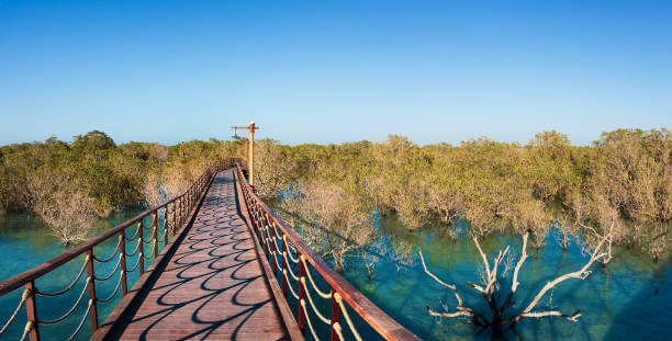 Jubail Mangrove Park