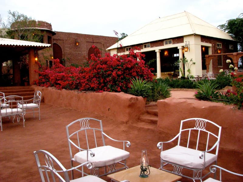Reggie's Camel Camp Osian Image