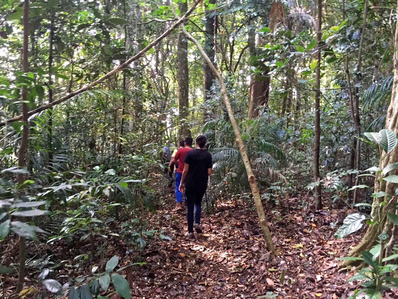 Photo from Shivakari Varman's trip