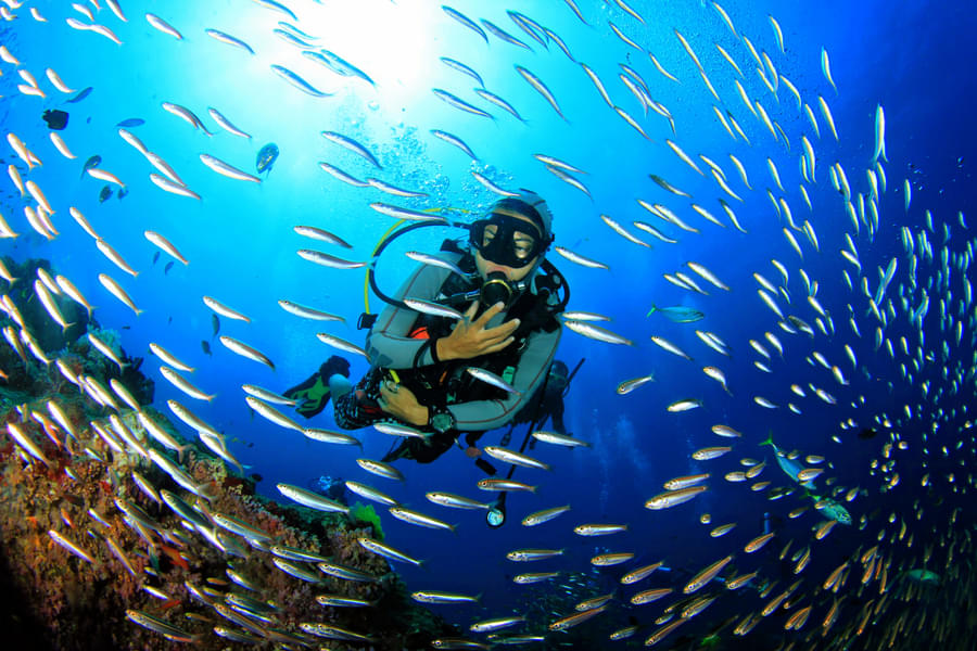 Scuba Diving in Koh Phi Phi Island Image