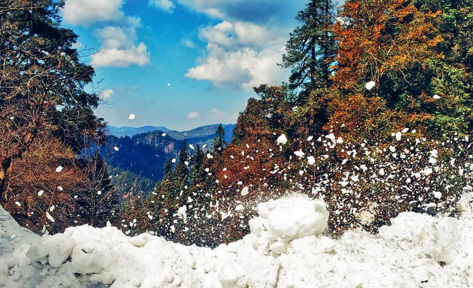 Jalori Pass Trek