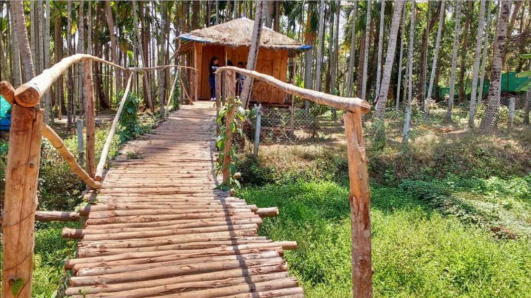 6 Shades Of Nature Image