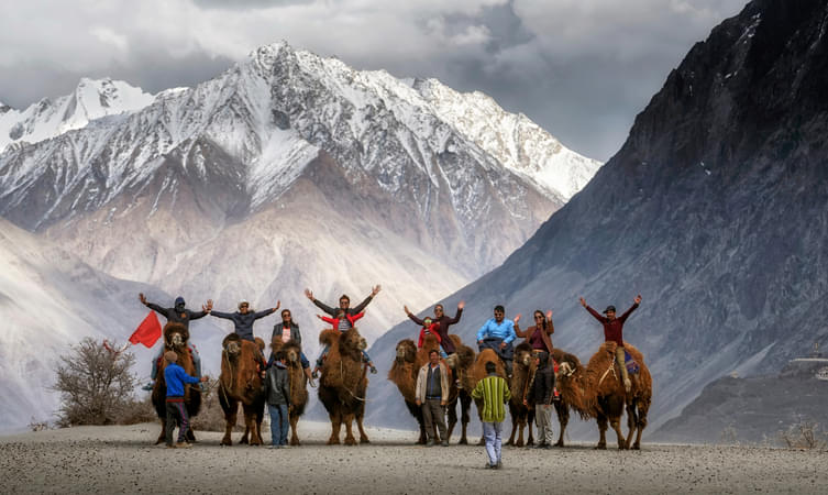 Double-humped Bactrian camel ride, Nubra Valley