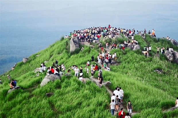 Broga
