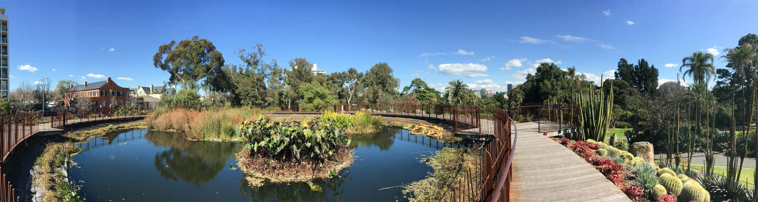 Guilfoyle’s Volcano