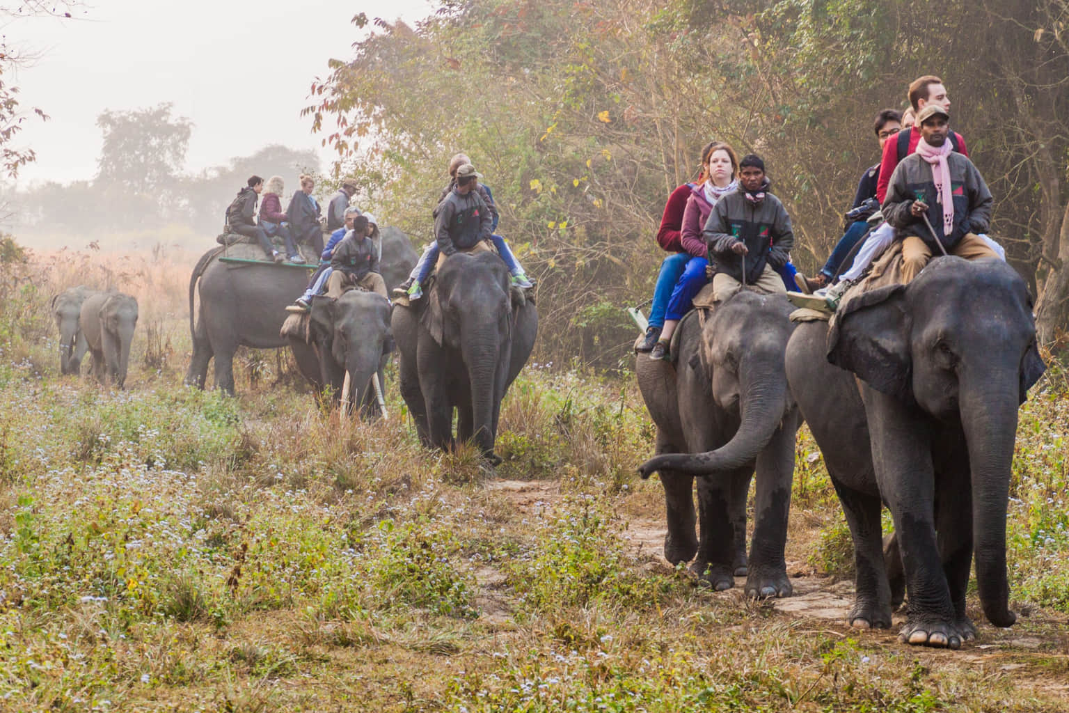 <em>Assam</em> Tour Packages From Rajkot