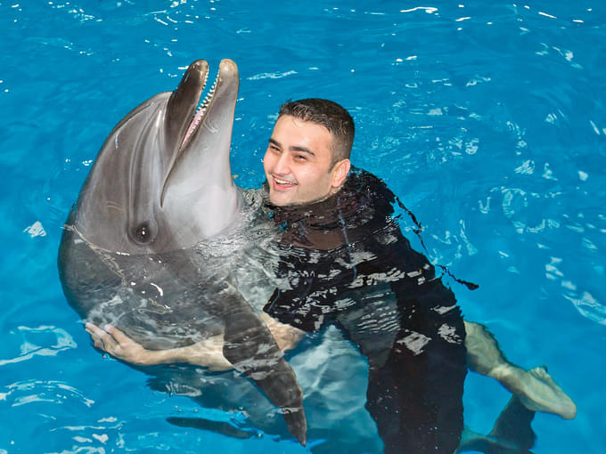 Play with dolphins at Dubai Dolphinarium
