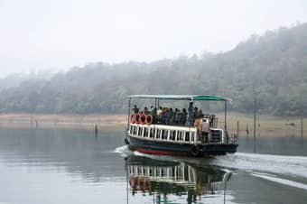 Experience the thrill of a 1.5-hour boat safari on Periyar Lake, passing through the serene waters and lush landscape